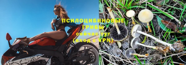 ALPHA PVP Пролетарск