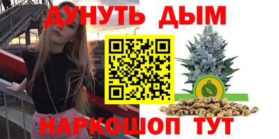 jwh Гатчина