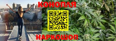 jwh Гатчина