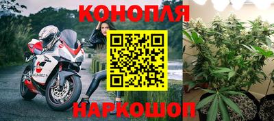 jwh Гатчина