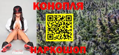 a pvp Гагарин