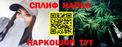 a pvp Гагарин