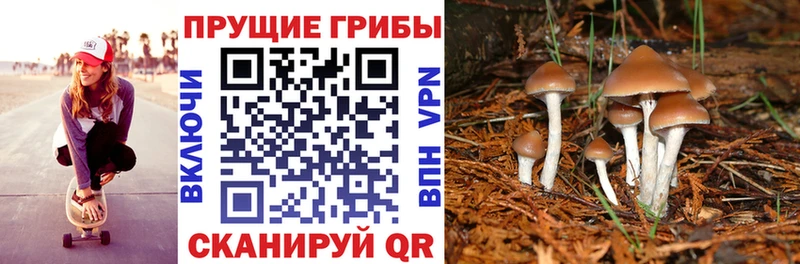 Псилоцибиновые грибы мицелий  Учалы 