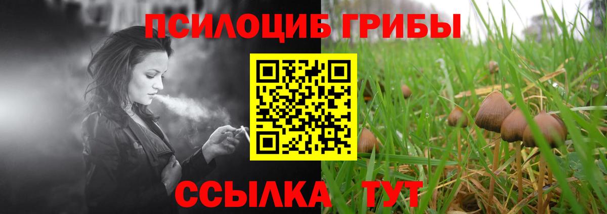 Учалы  Галлюциногенные грибы мухоморы  Вход с VPN 
